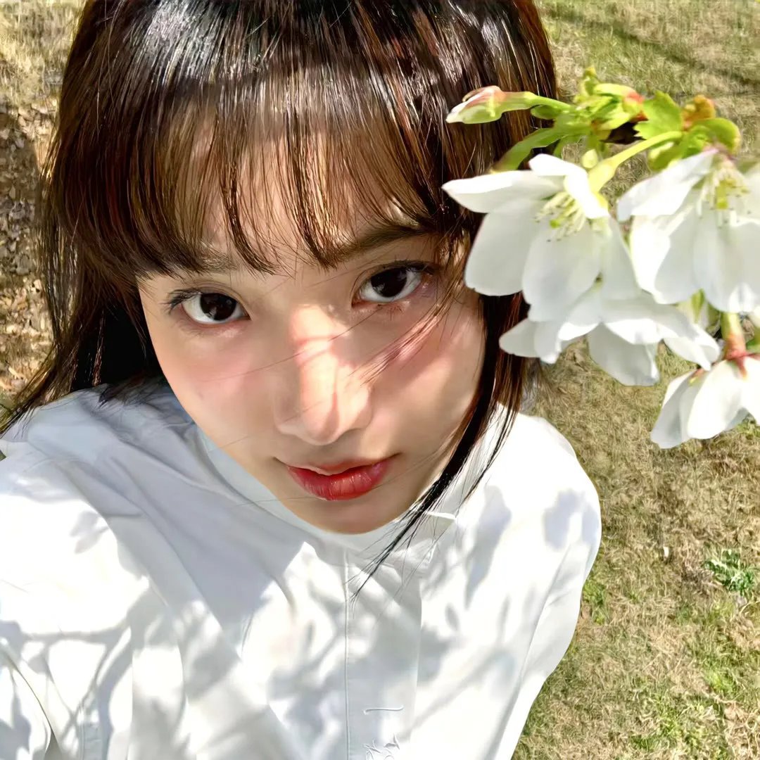 克莱儿之膝
